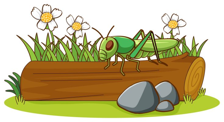 The Ant and the Grasshopper