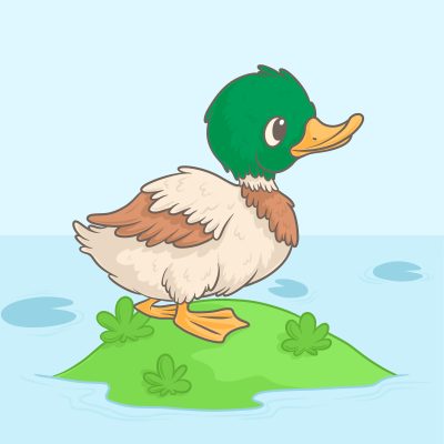 The Ugly Duckling